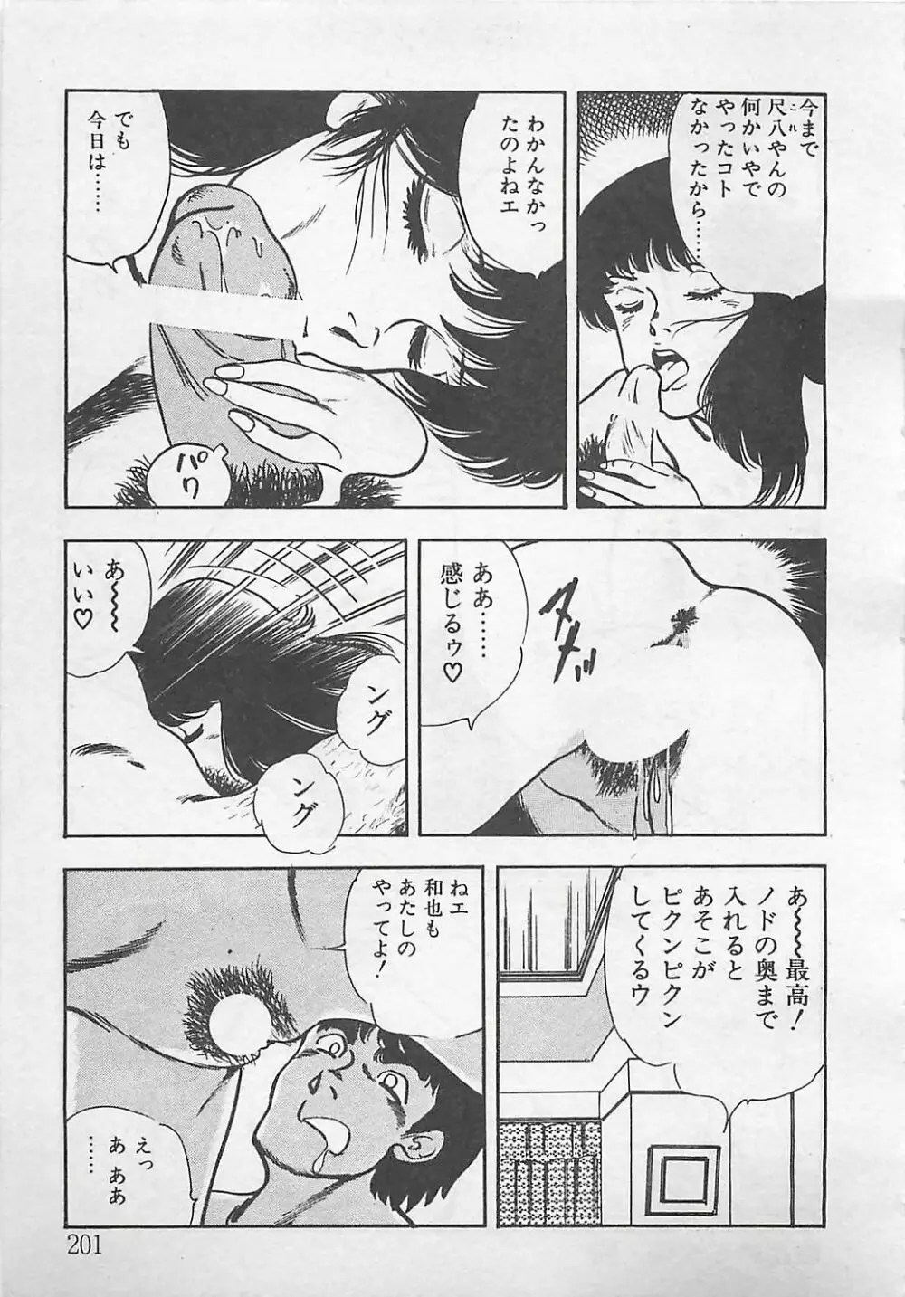 わくわくC体験 Page.204