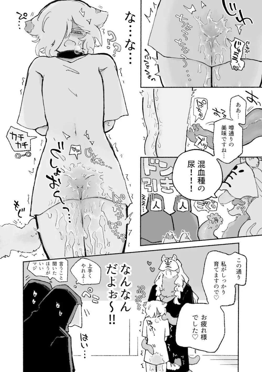 ねこちゃんはきゅうすいき Page.5