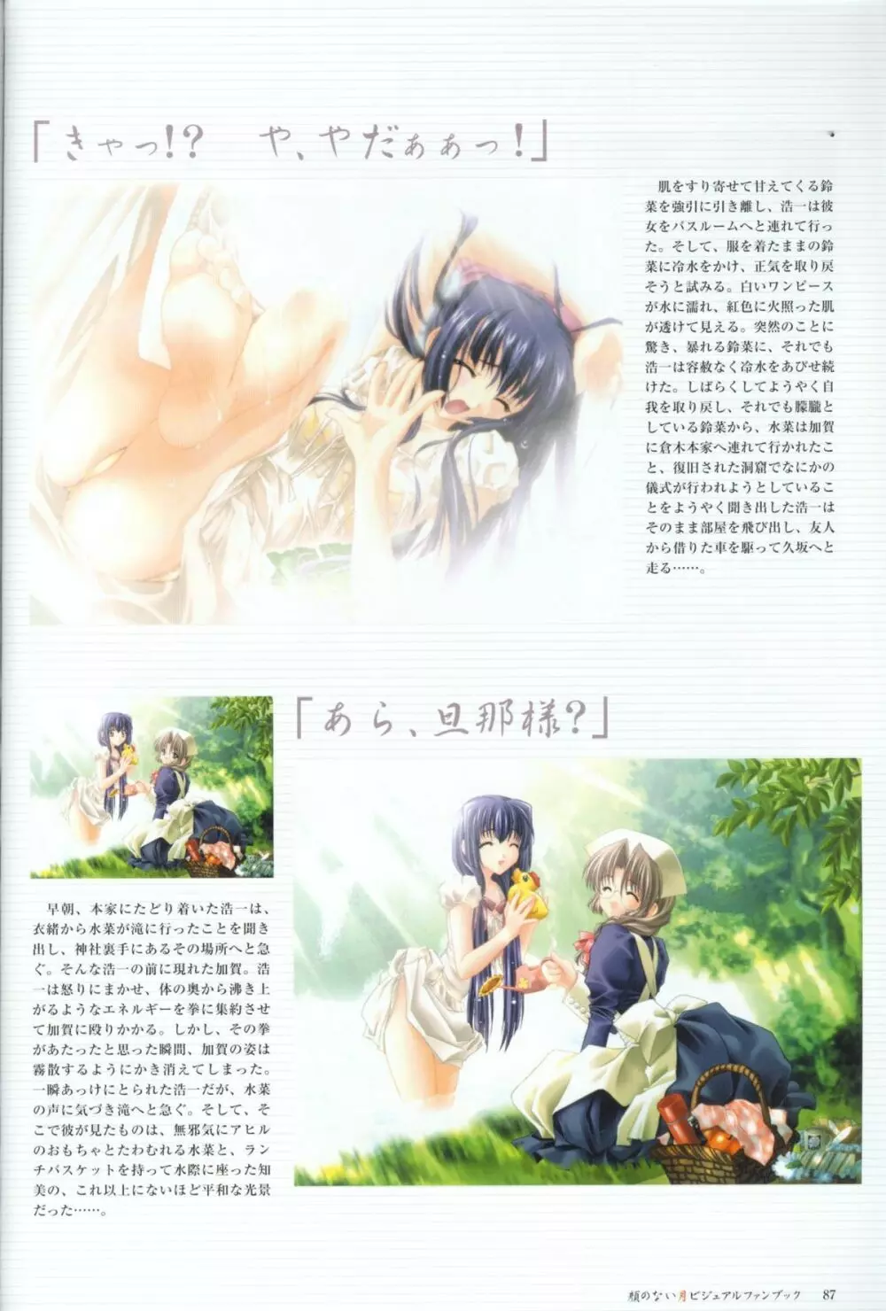 Kao no Nai Tsuki Visual Fanbook Page.88