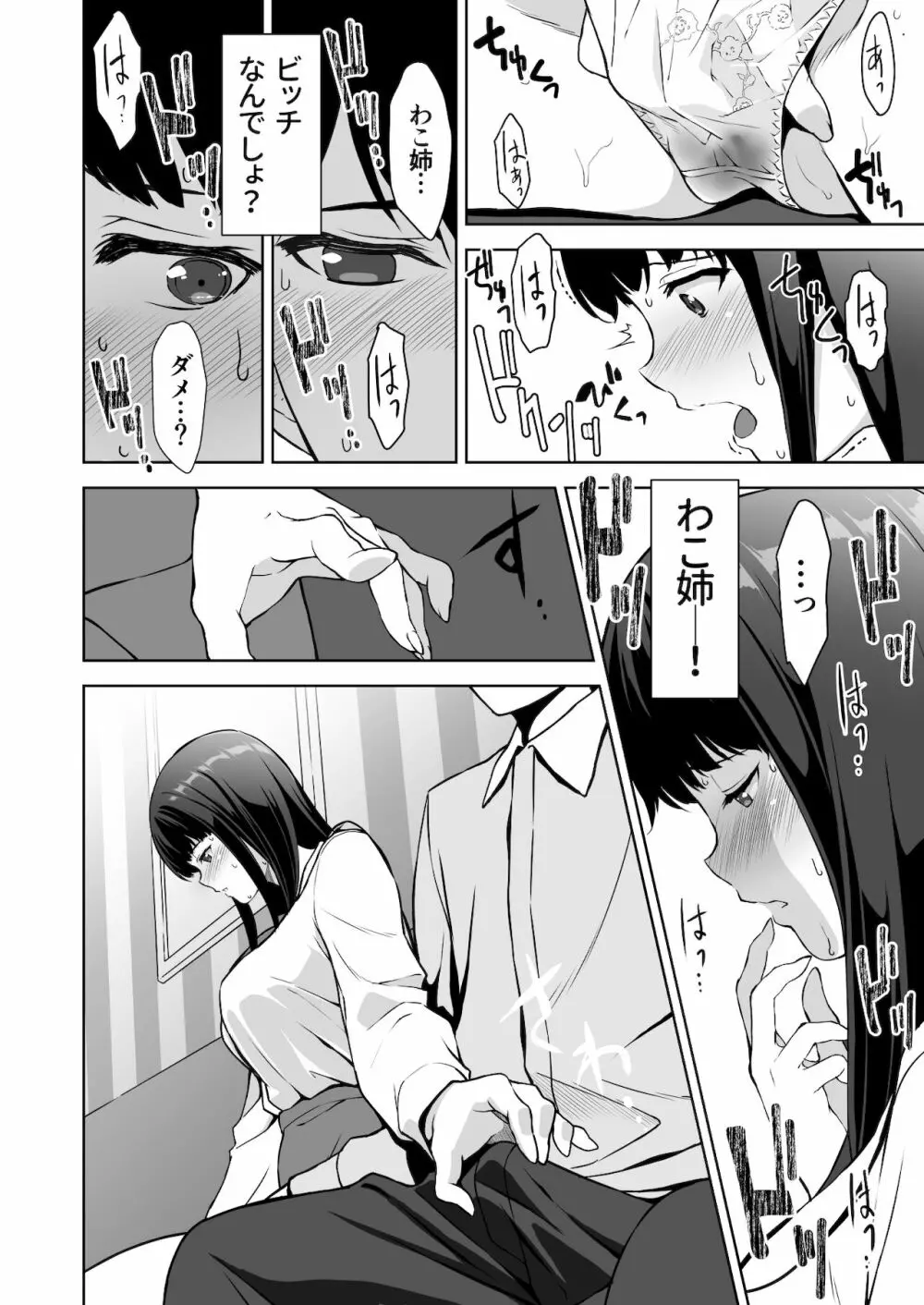 清楚な姉が好きなのに、ビッチとセックスしてる俺2 Page.29