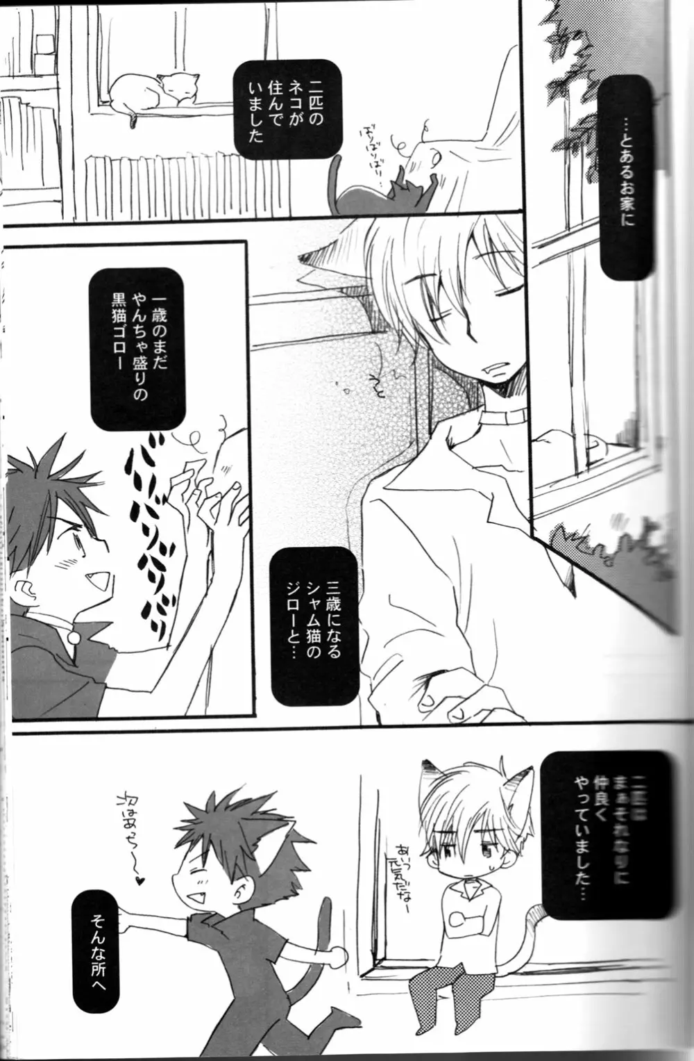 Peach Drop- Arco Iris Page.3