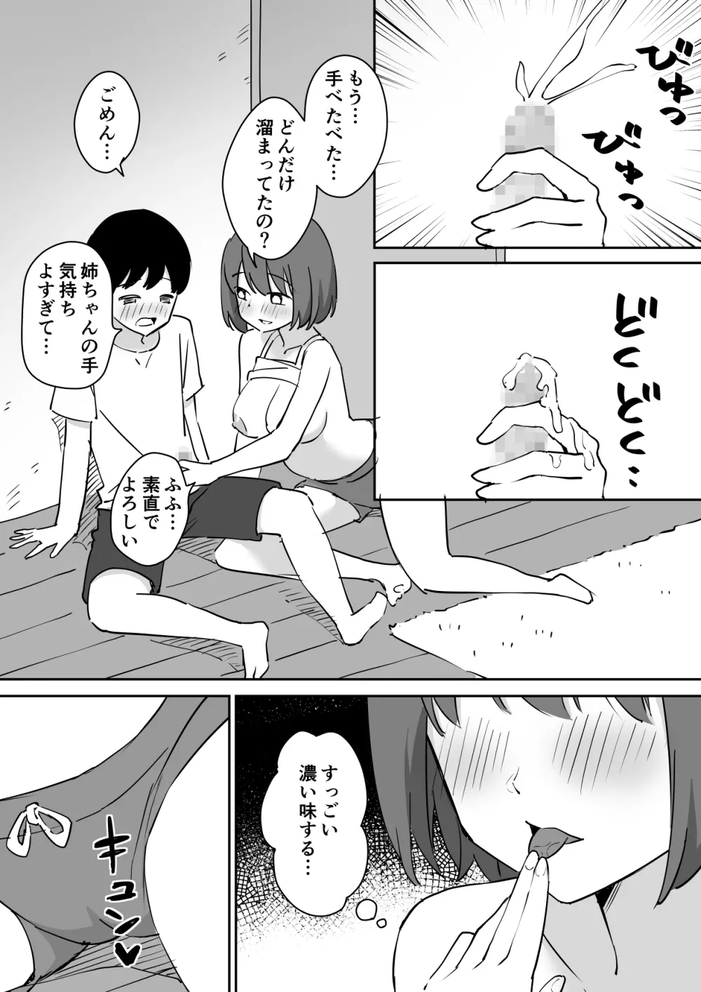 親の再婚で出来た姉があまりに無防備だったので、とりあえず犯してみた。 Page.12