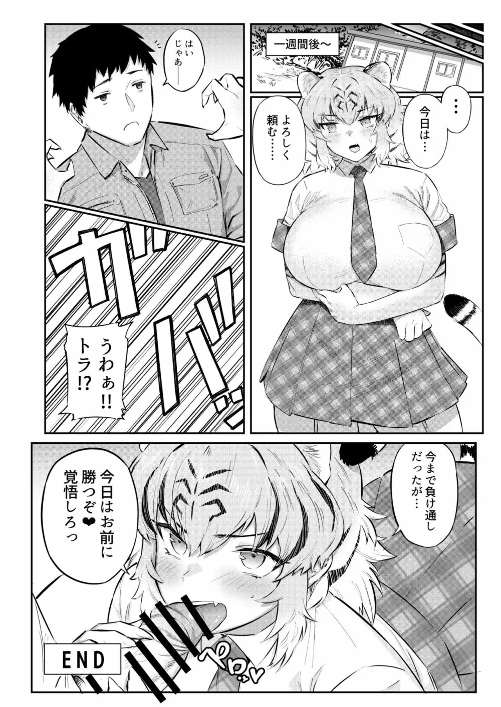 トラはふれあい修業中 Page.14