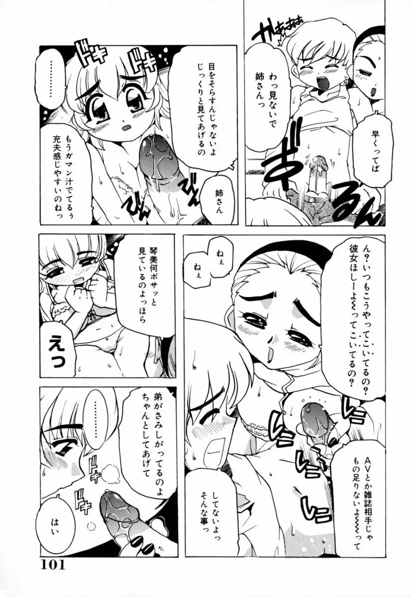 実姉パラダイス Page.101