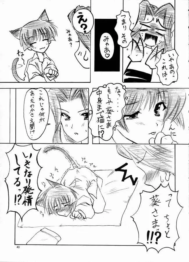 華葵 Page.40