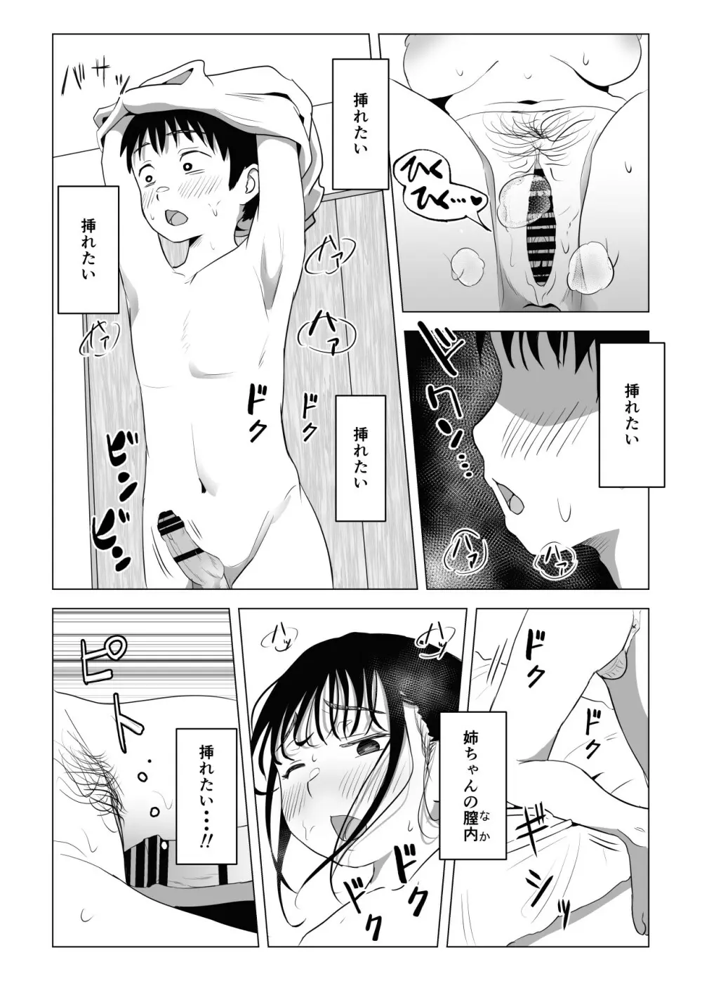 あたりまえせっくす ～姉と弟の日常～ Page.67