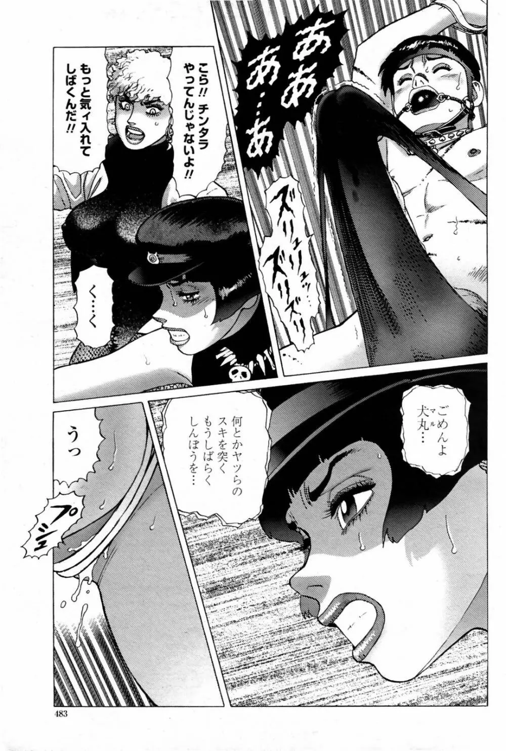 COMIC 桃姫 2007年08月号 Page.485
