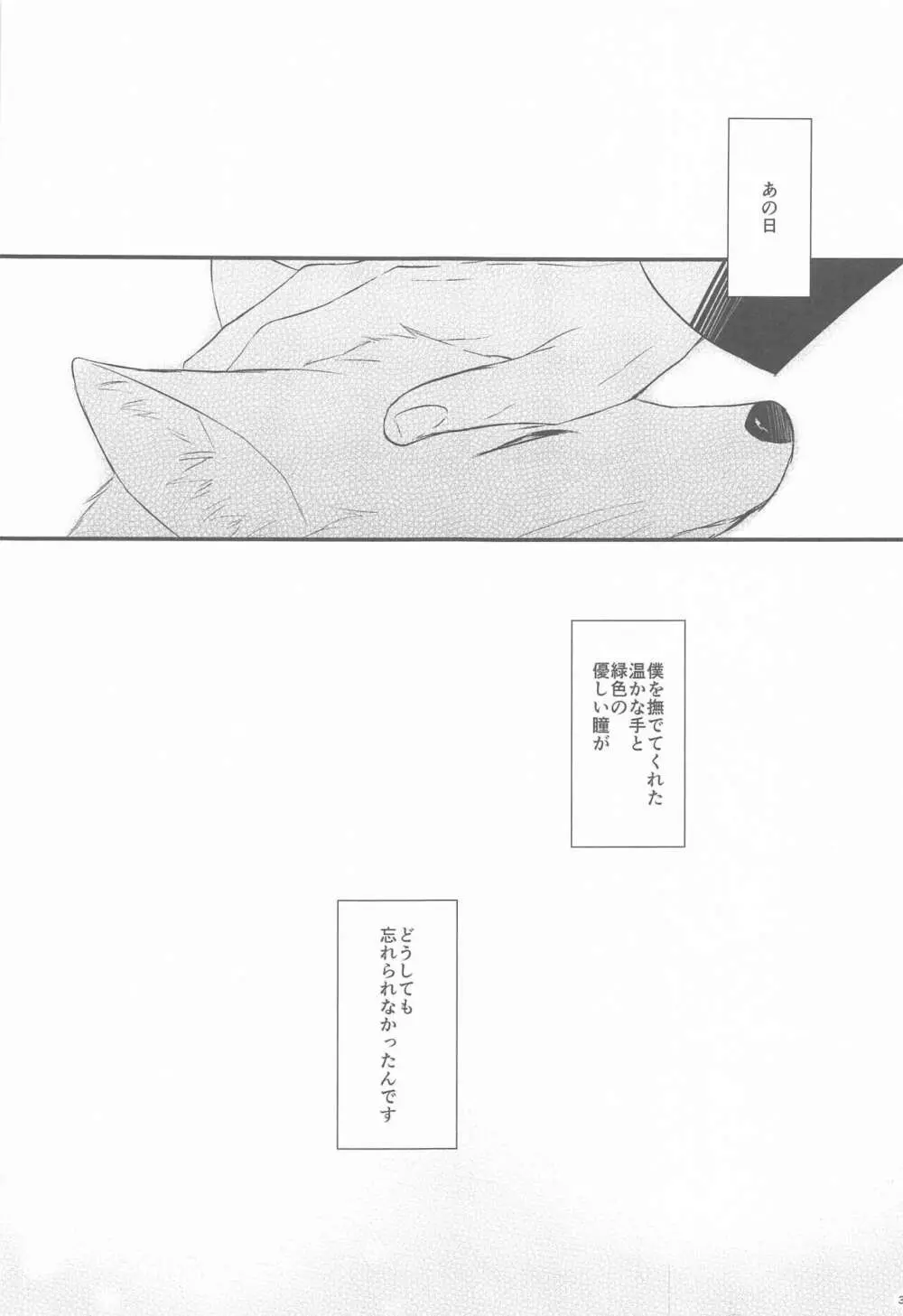 東都の狐は人に恋する Page.2