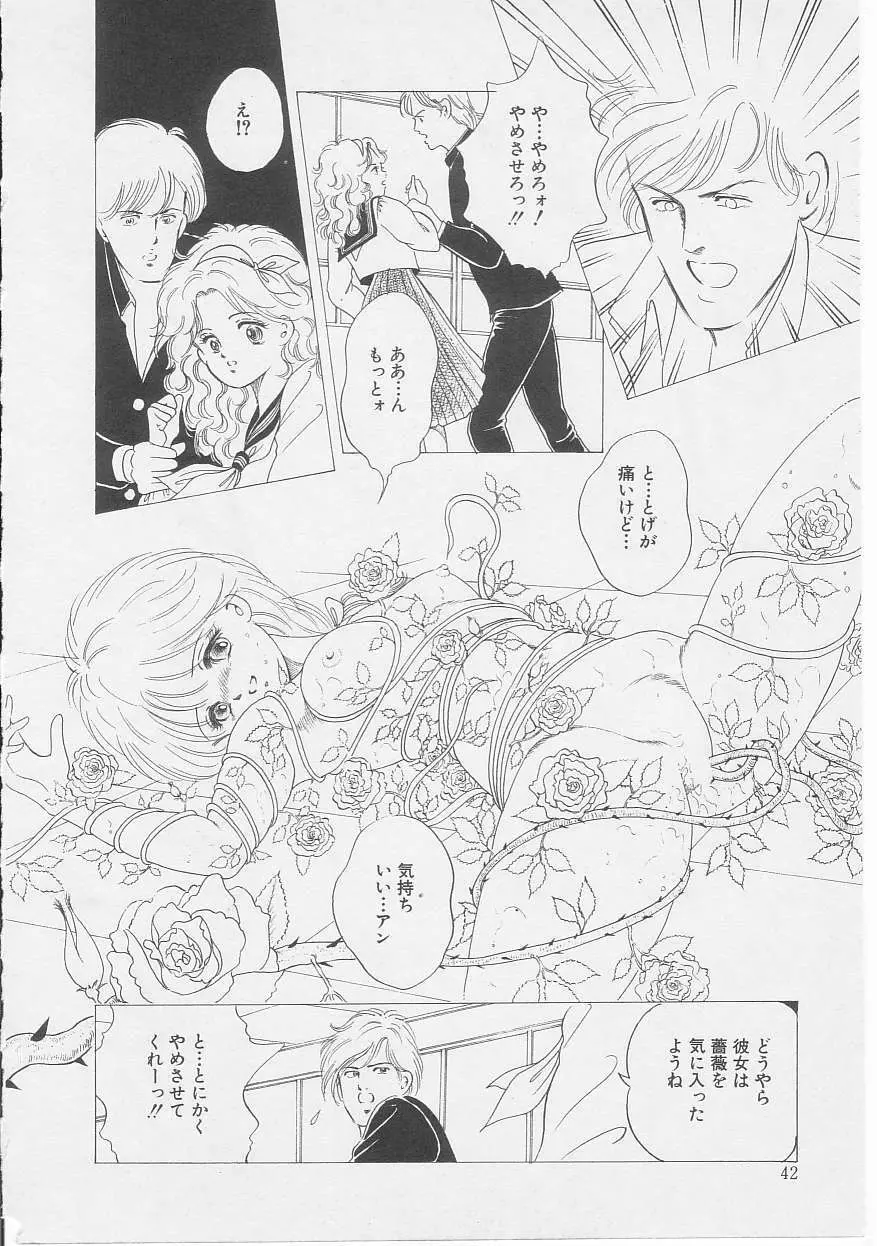 セクシュアリテ Page.44