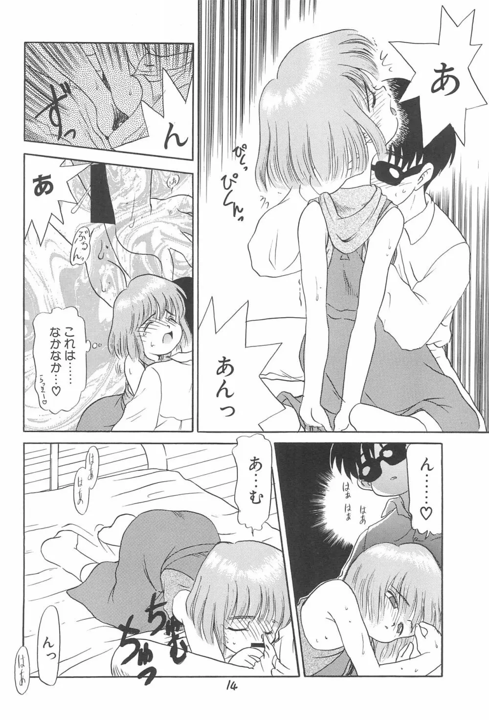 ある意味酷い本 Page.14