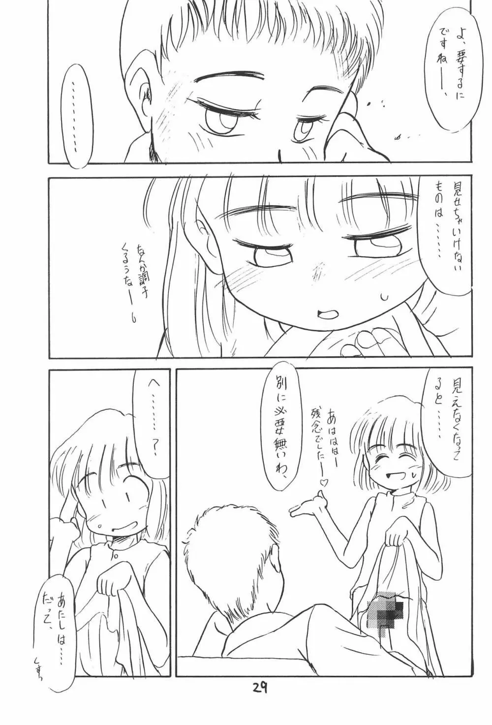 ある意味酷い本 Page.29