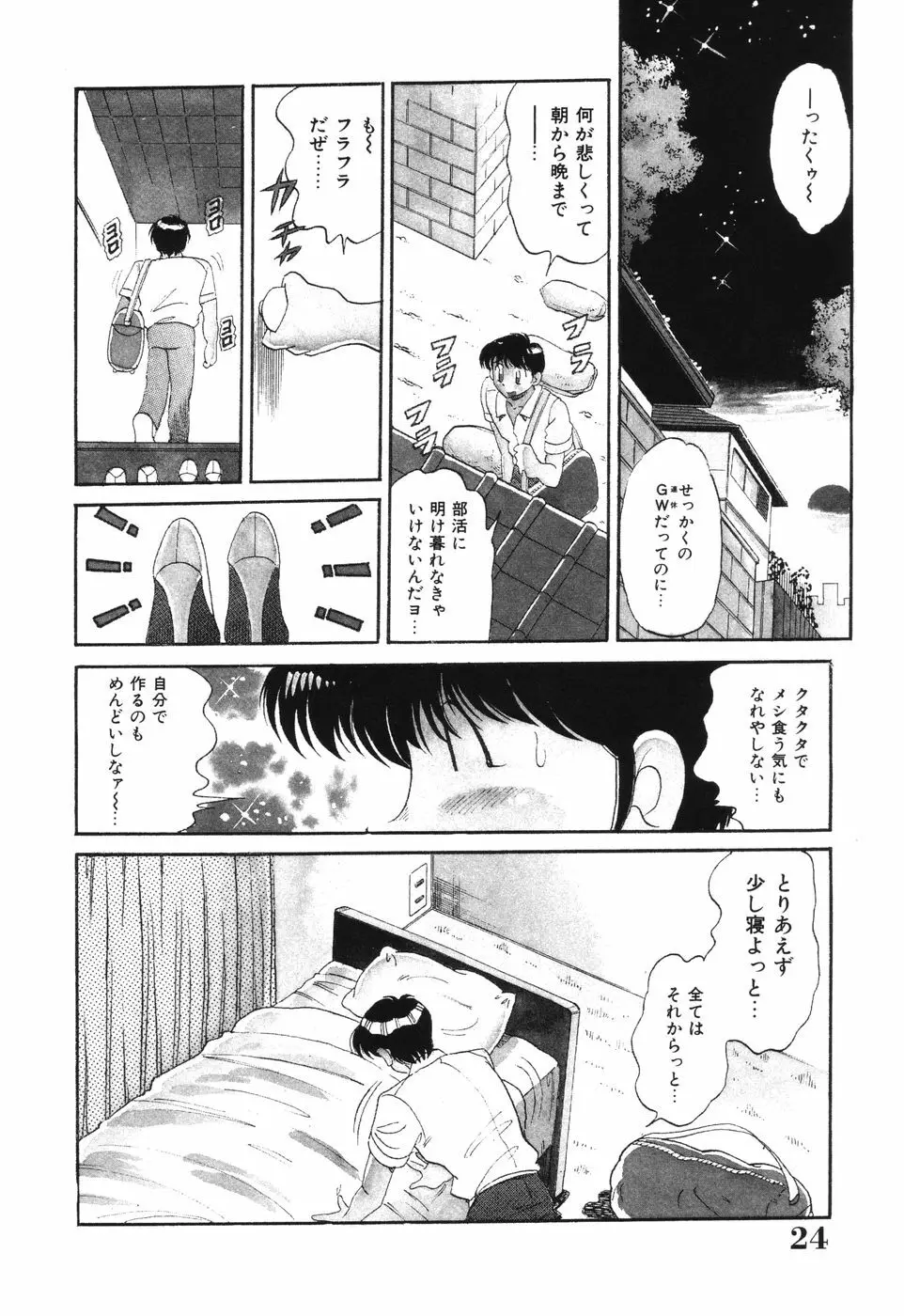 美処女散華 Page.24