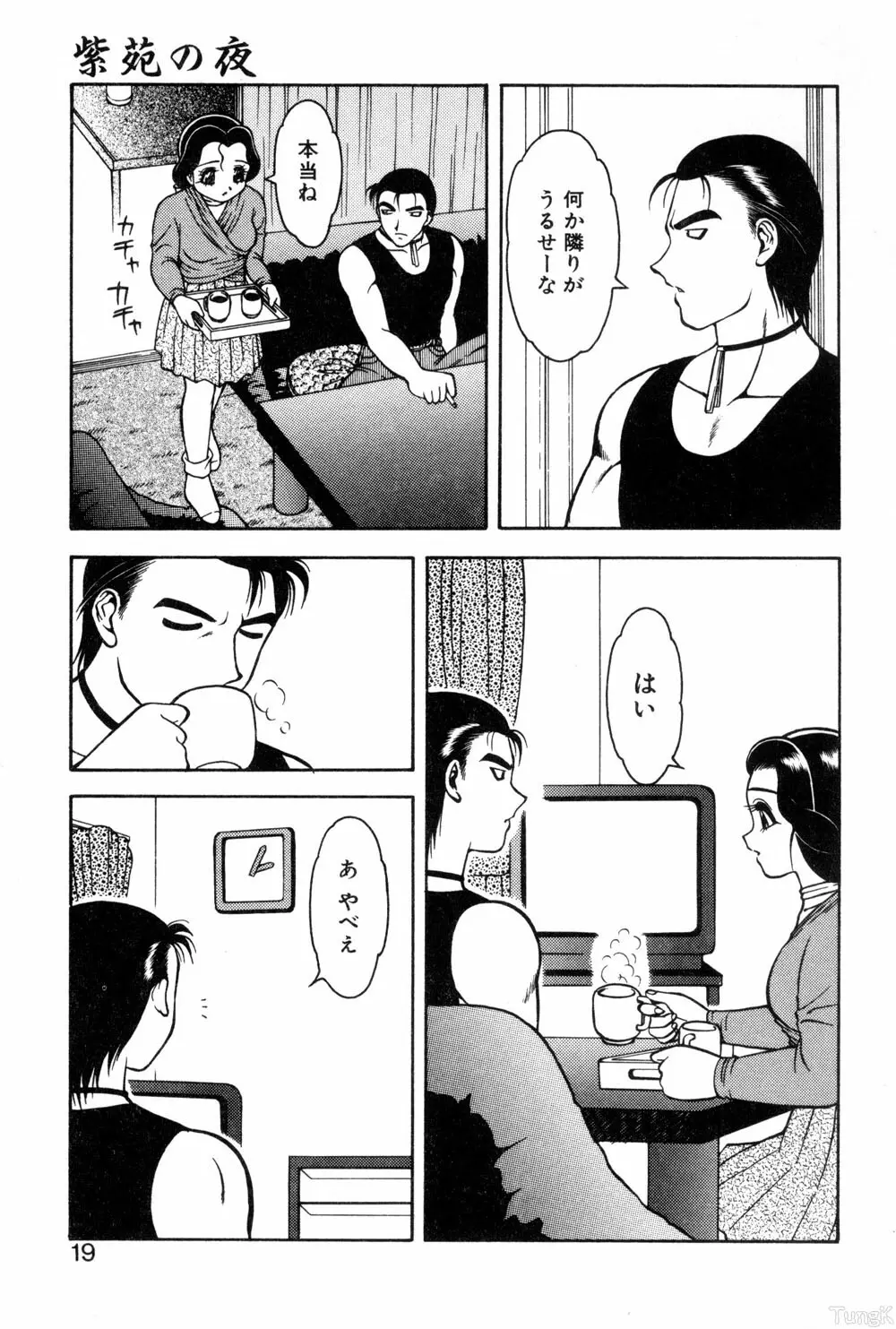 紫苑の夜 愛蔵版 Page.17