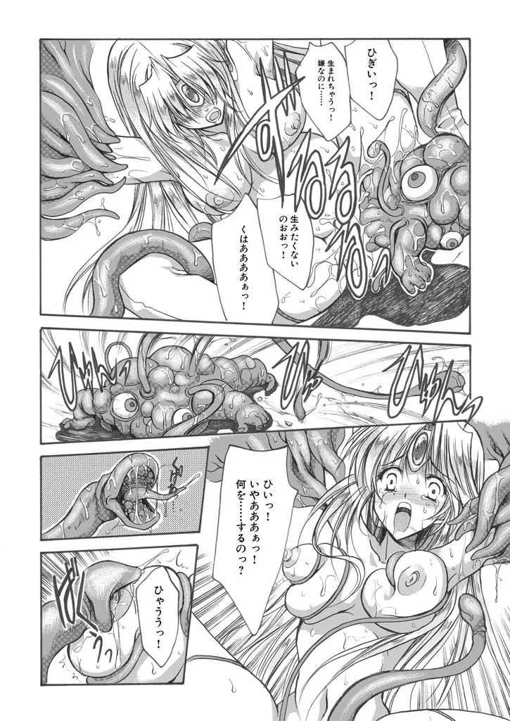 聖王妃 エルレイン（田宮秋人） Princess St Page.19