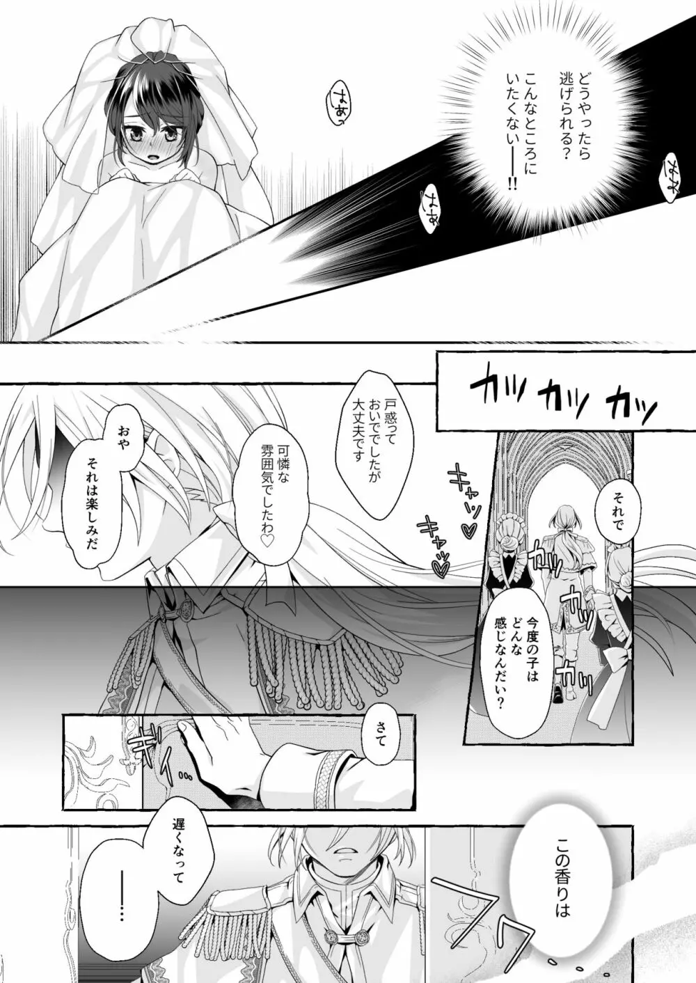 渡りの花嫁は呪いを受ける Page.11