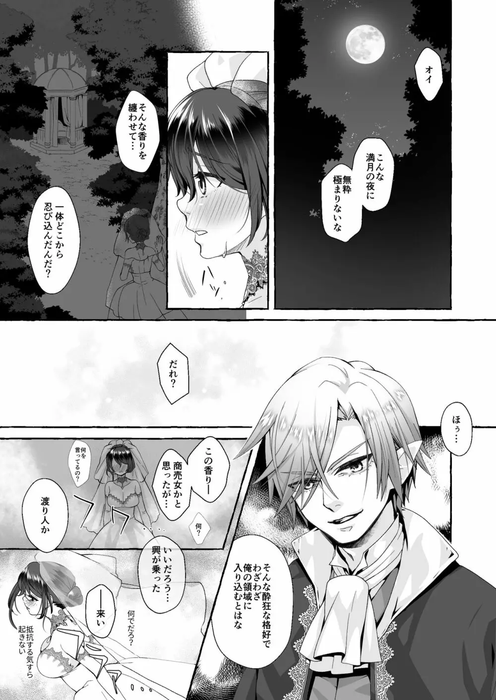 渡りの花嫁は呪いを受ける Page.13