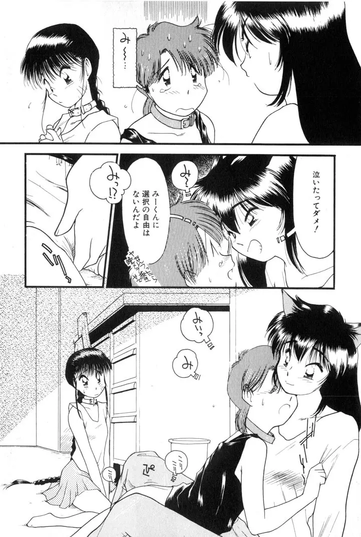 夕暮れにさんぽ Page.105