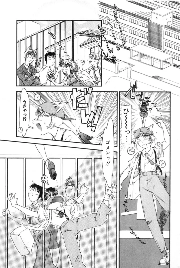 夕暮れにさんぽ Page.133