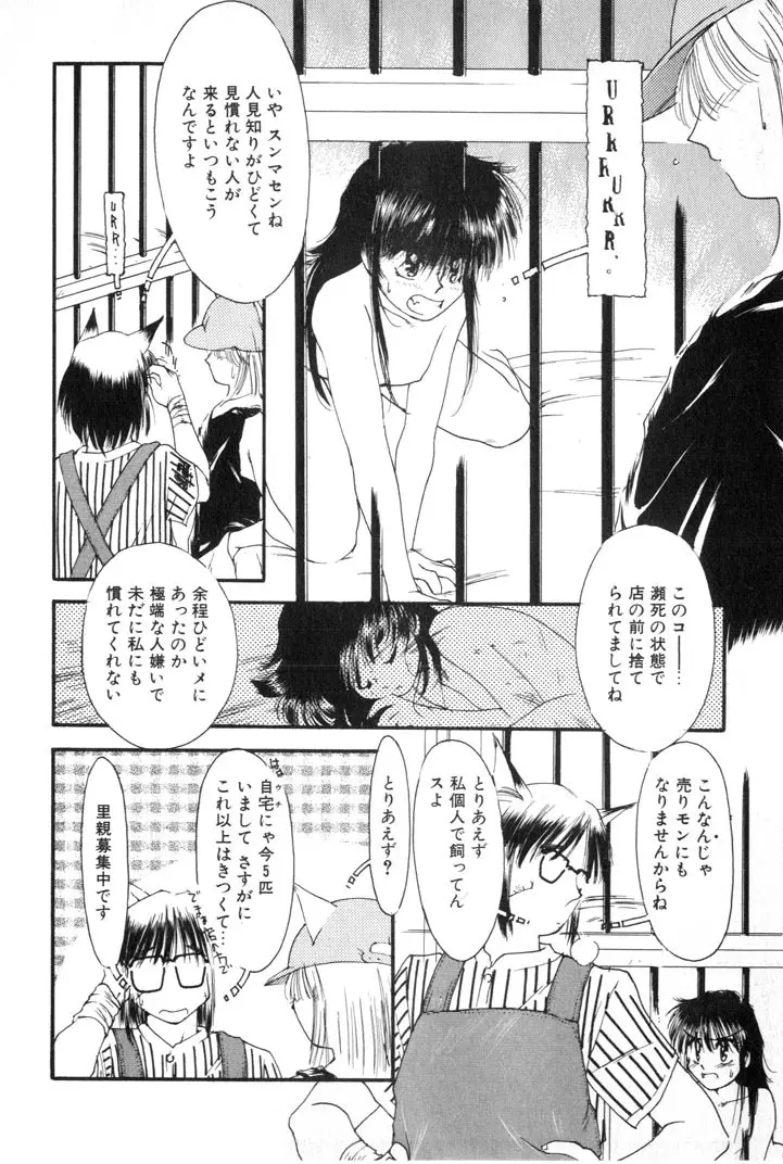 夕暮れにさんぽ Page.44