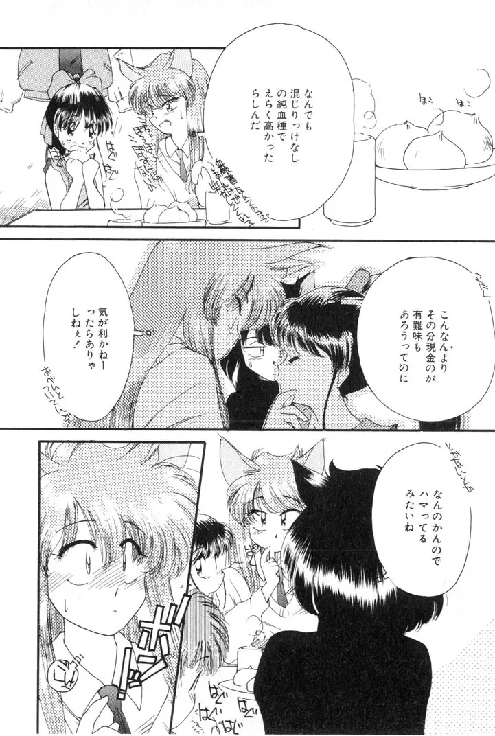 夕暮れにさんぽ Page.64