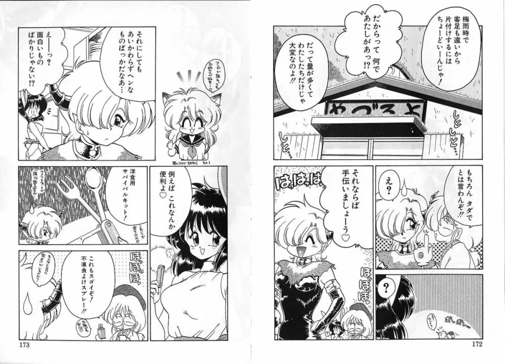 雑貨屋とゆう名の博物館 Page.86