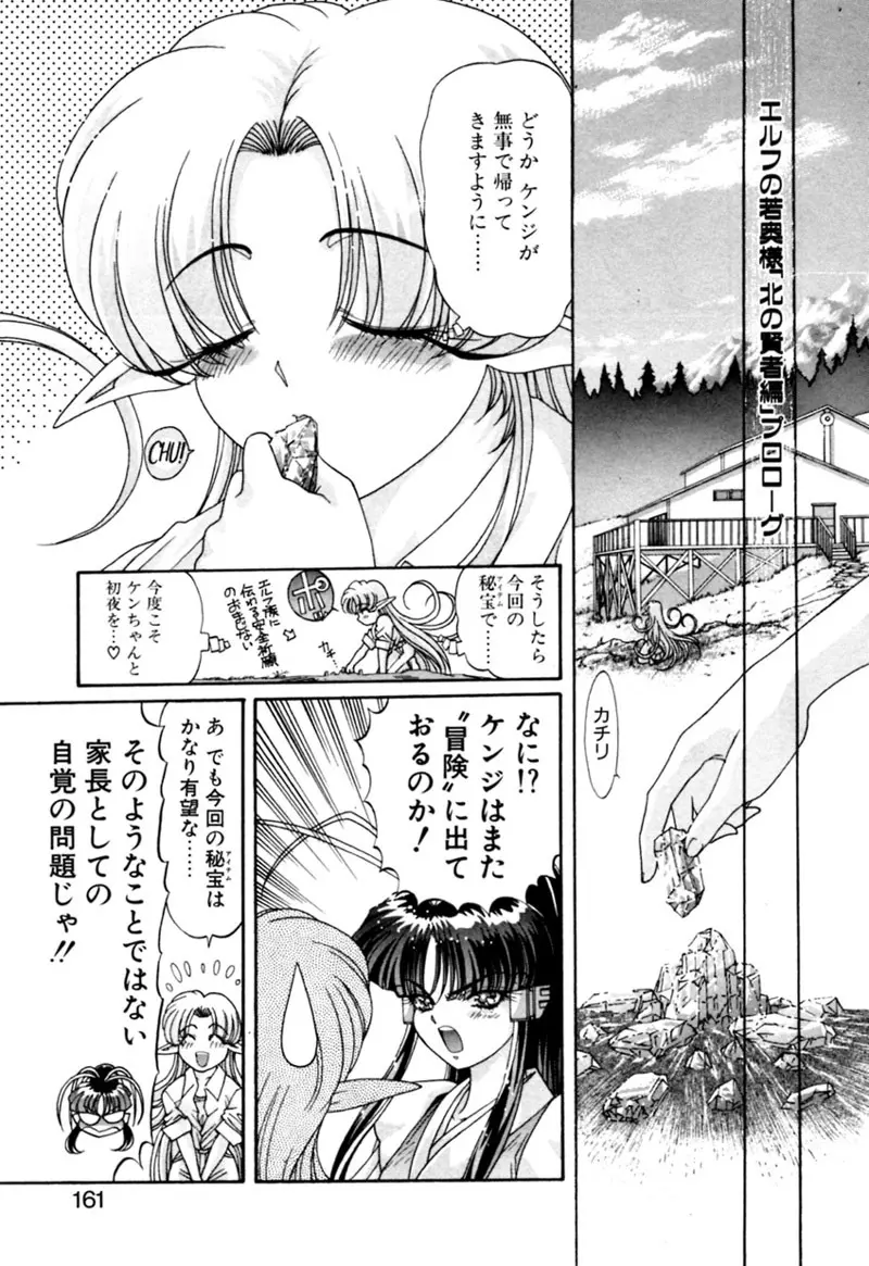 エルフの若奥様DELUXE Page.161