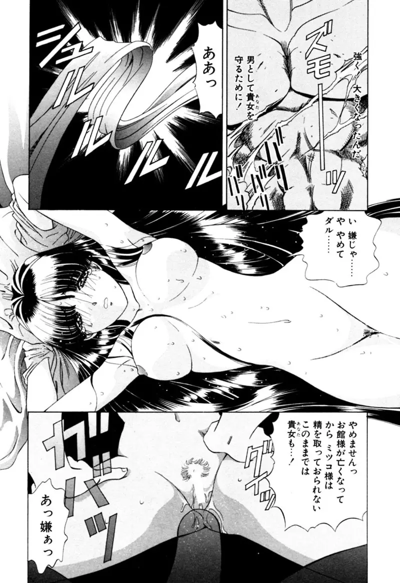 エルフの若奥様DELUXE Page.476