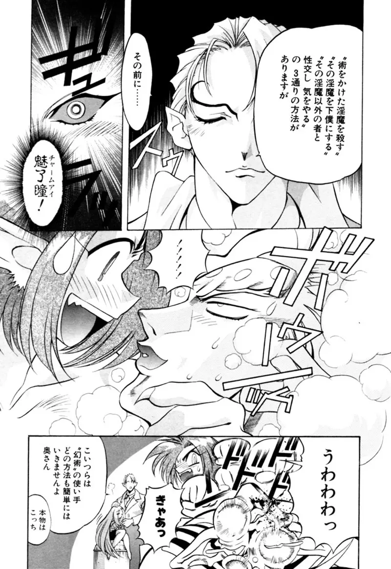 エルフの若奥様DELUXE Page.523