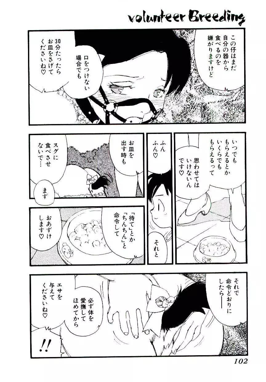 ヴォランティア・ブリーディング Page.101