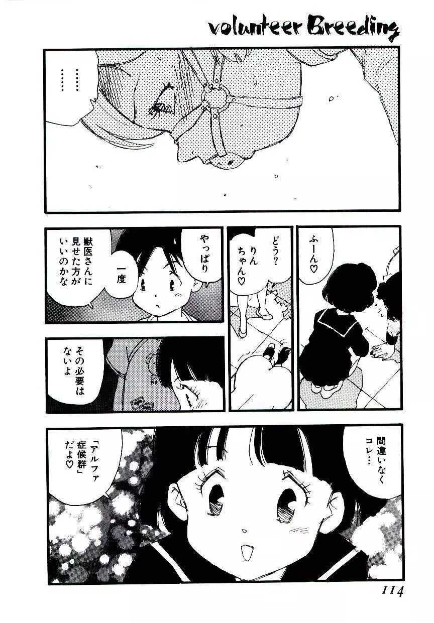 ヴォランティア・ブリーディング Page.113