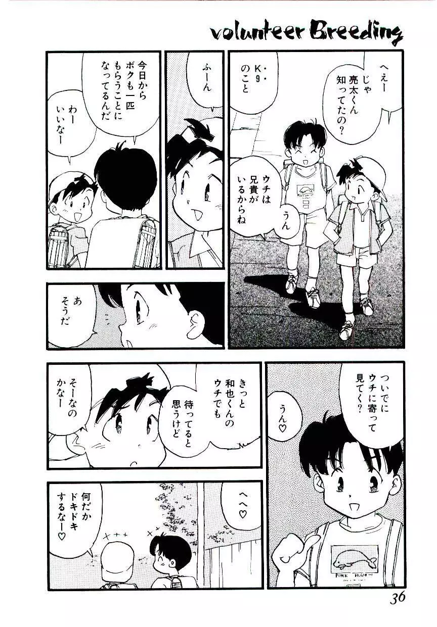 ヴォランティア・ブリーディング Page.35