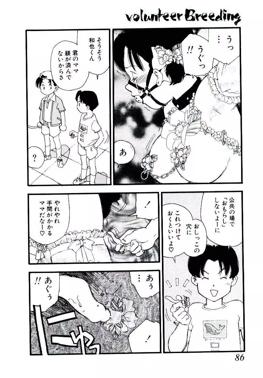 ヴォランティア・ブリーディング Page.85