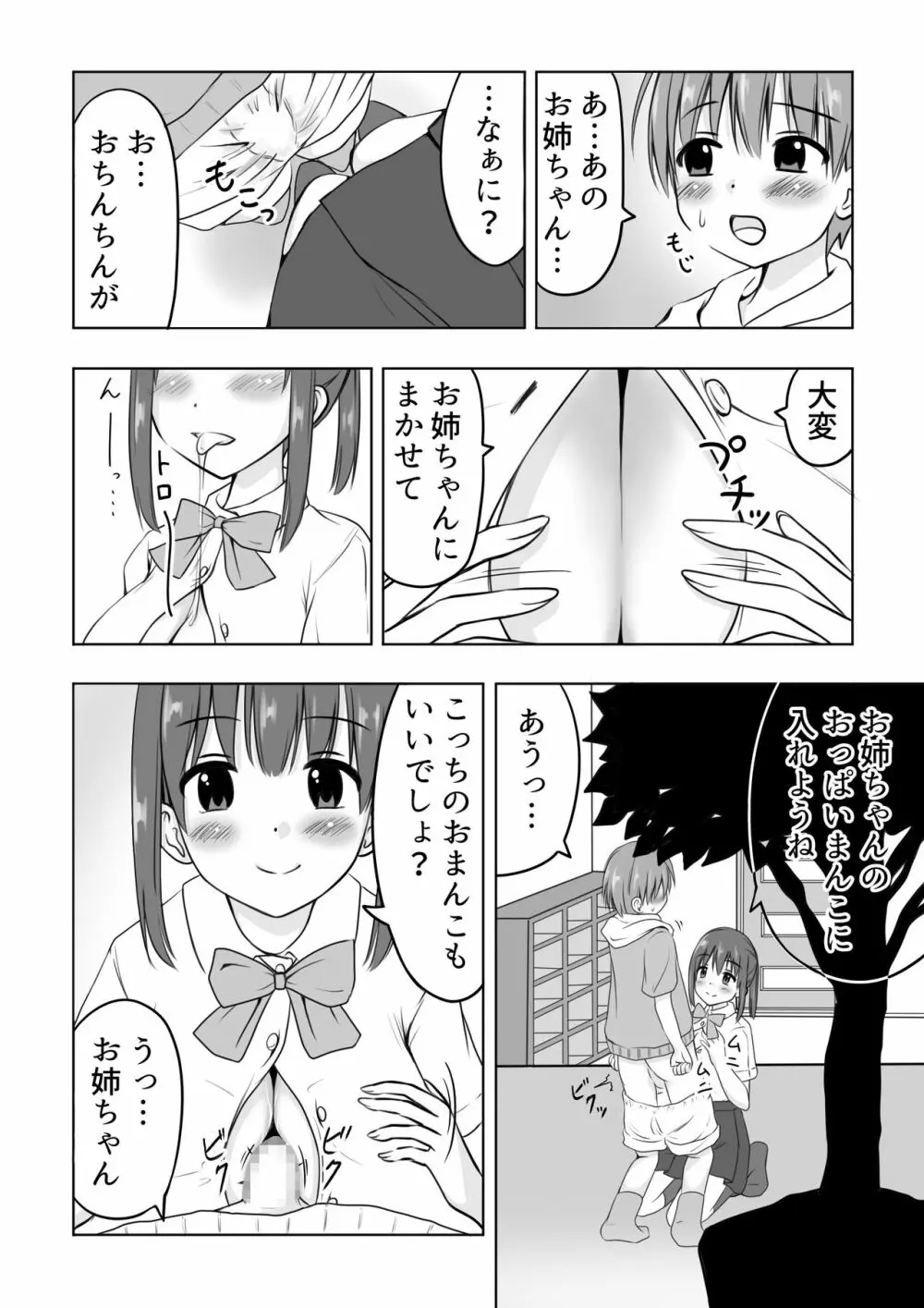 お姉ちゃんに射精したい! Page.3