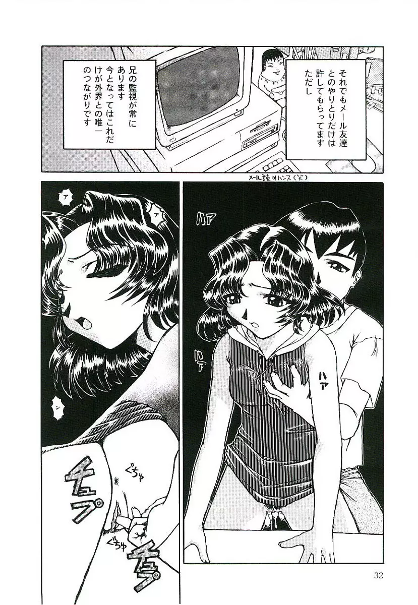 淫術指南書3号 Page.33