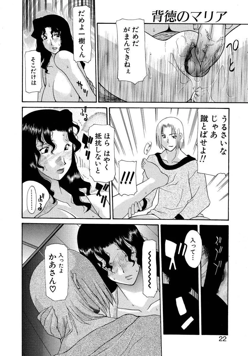 背徳のマリア Page.21