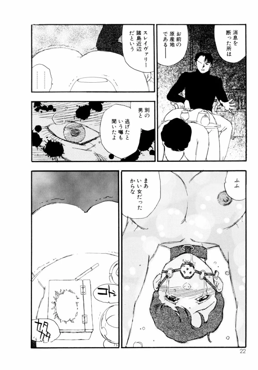 コレクション 美肉の蒐集 Page.23