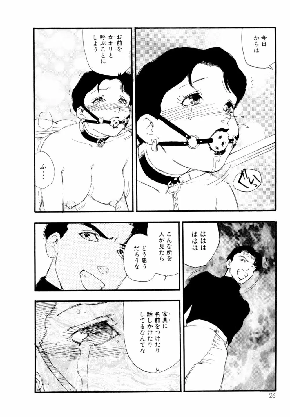 コレクション 美肉の蒐集 Page.27