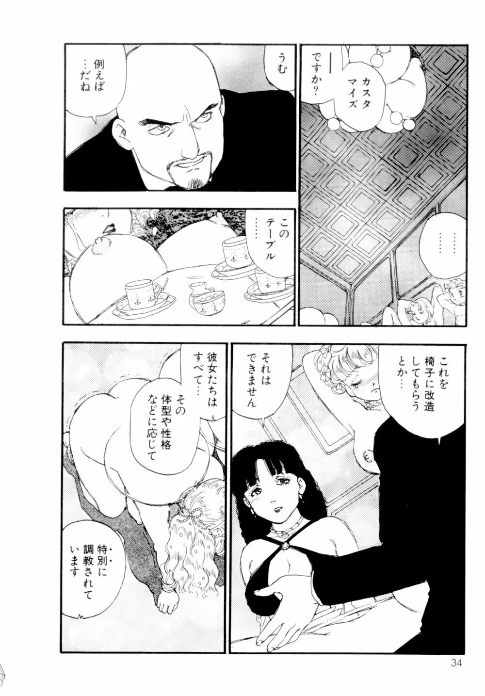 コレクション 美肉の蒐集 Page.35