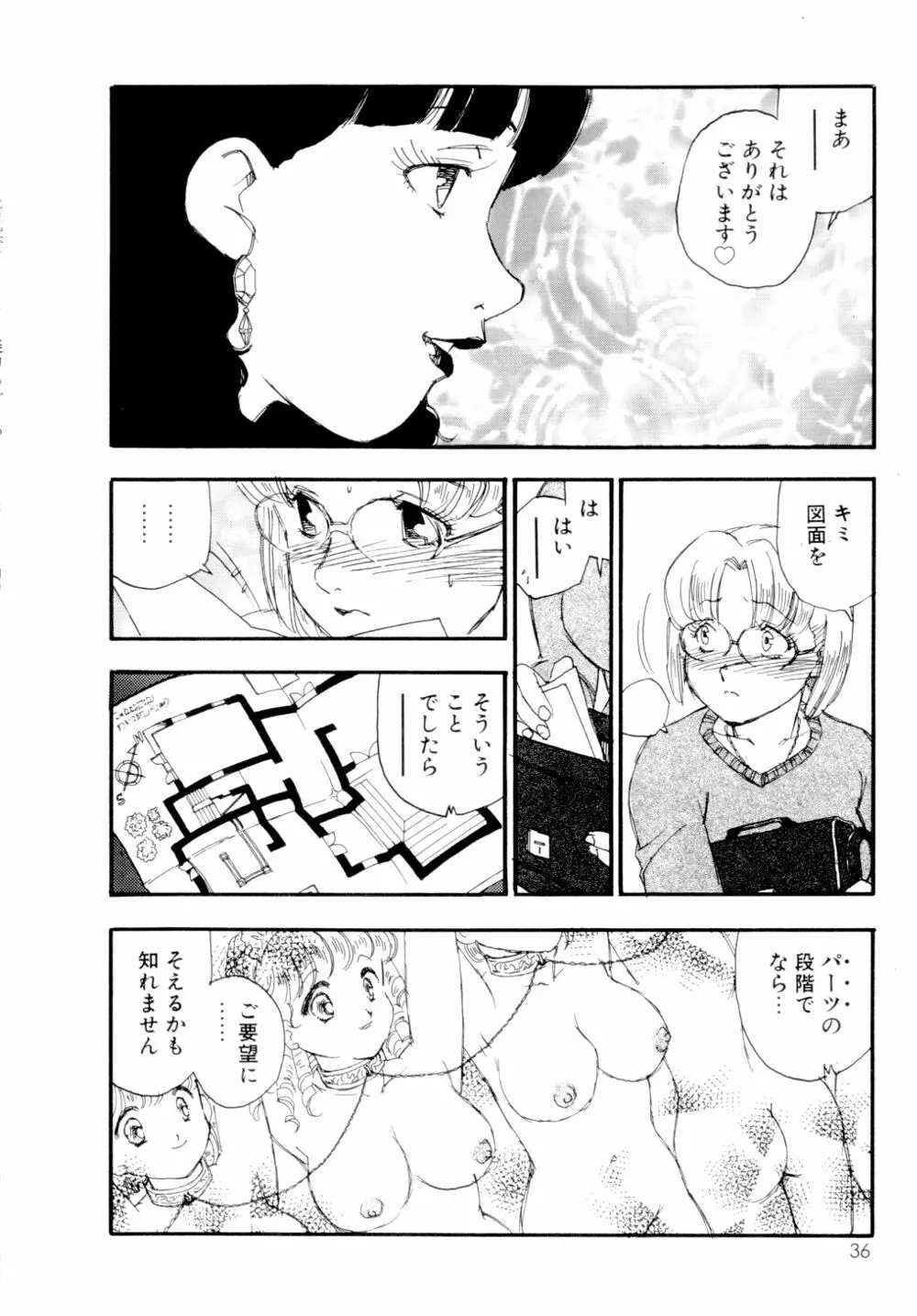 コレクション 美肉の蒐集 Page.37