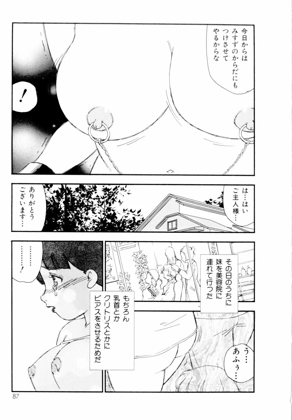 コレクション 美肉の蒐集 Page.88