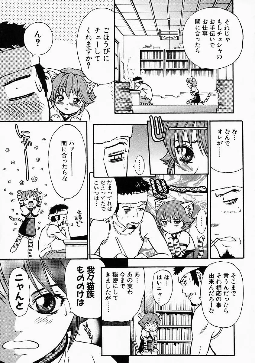 バニティーフェア Page.13