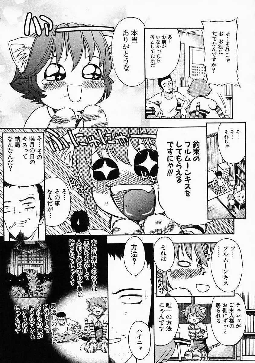 バニティーフェア Page.49