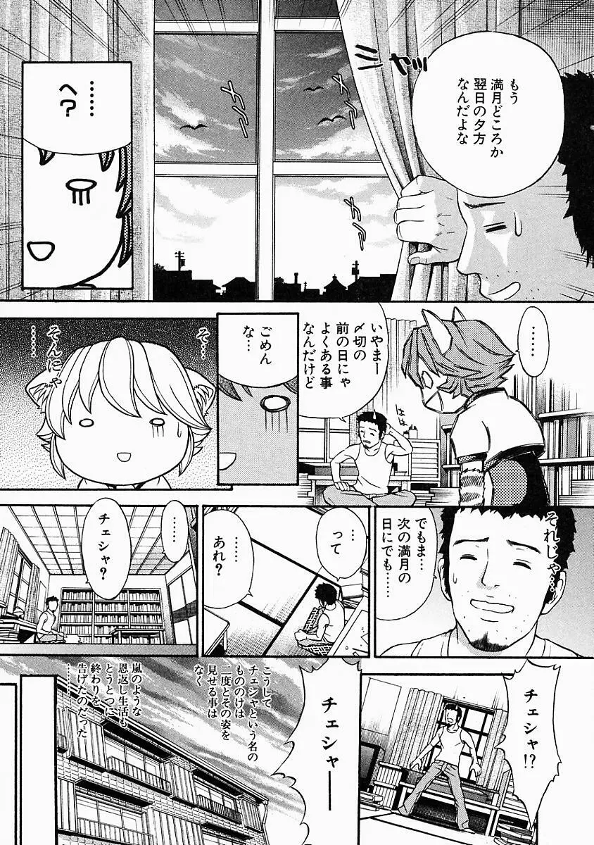 バニティーフェア Page.51