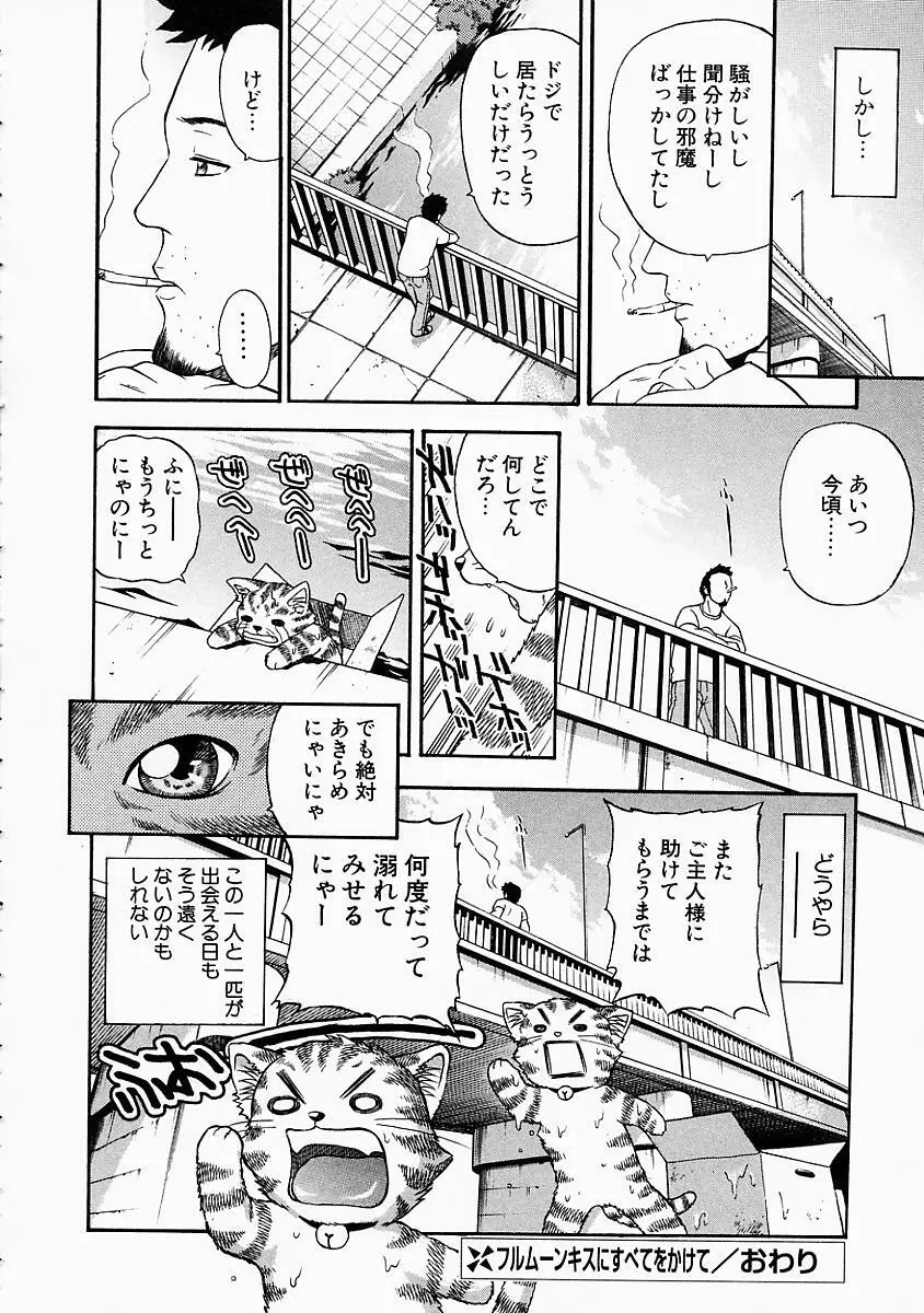 バニティーフェア Page.52