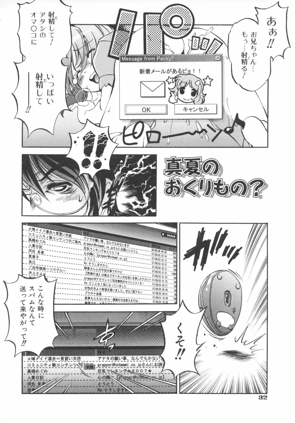 インクリメント アールオー Page.34