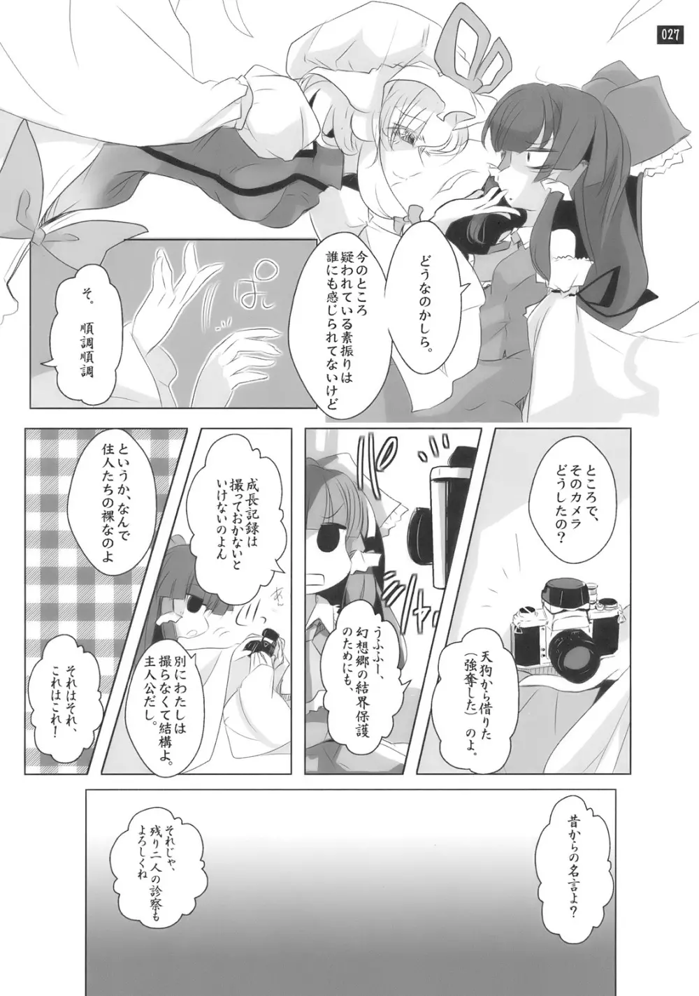 博麗神社で診察ちゅう Page.27