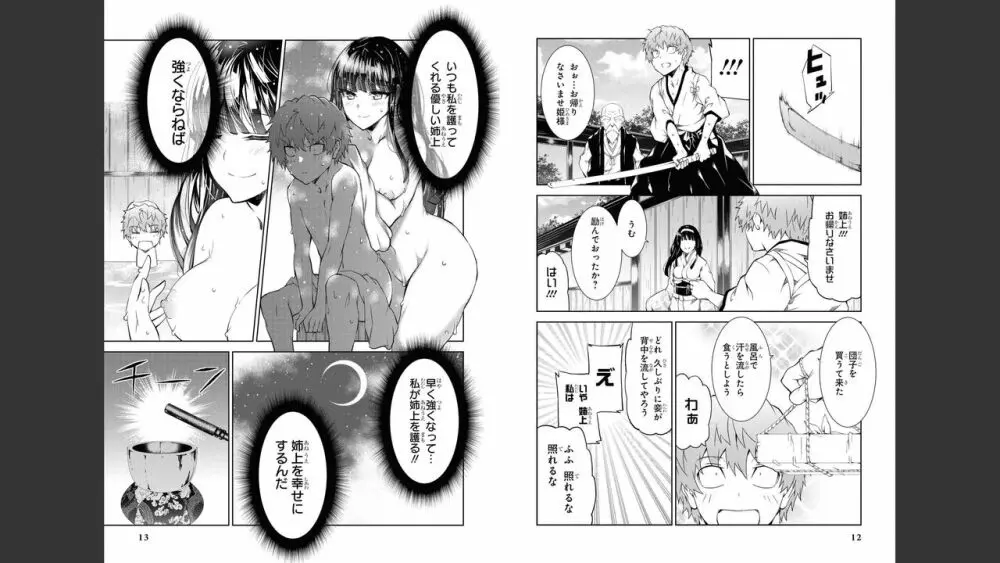 慰み者の戦姫 Page.8