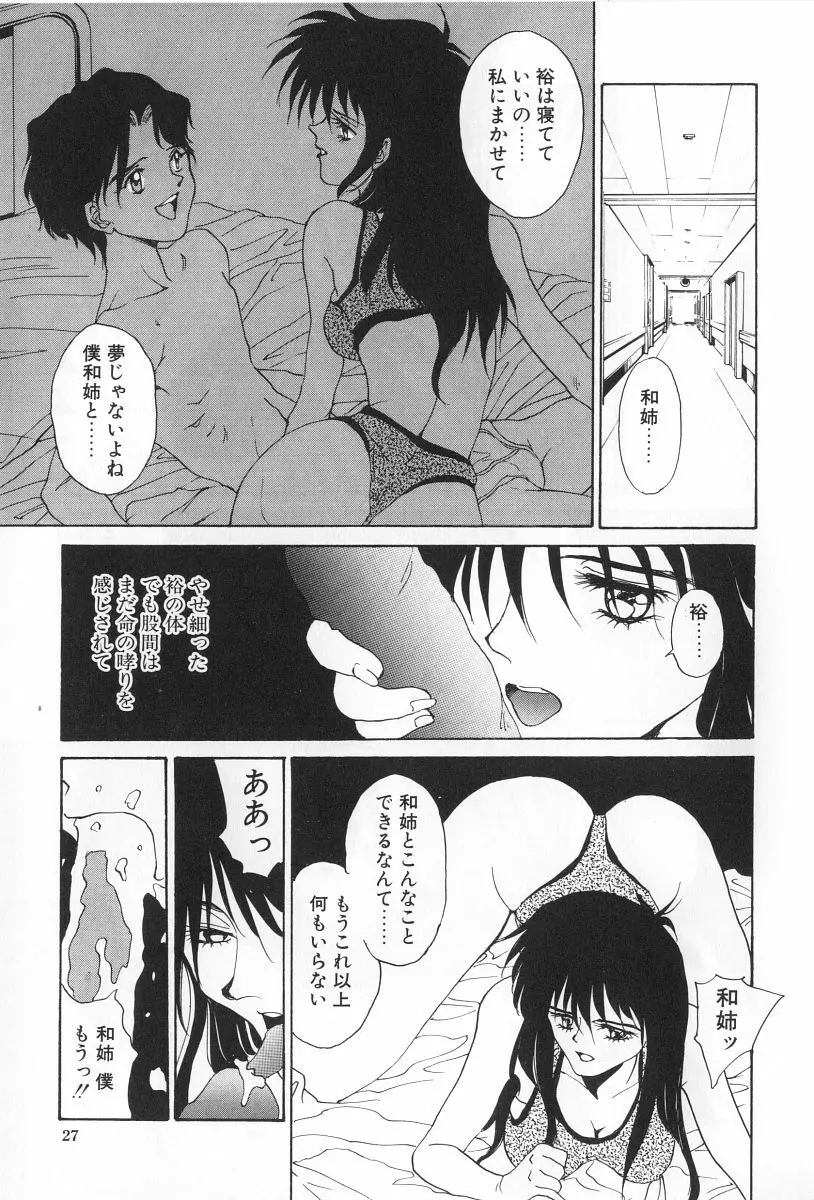 淫宴の迷宮 Page.27