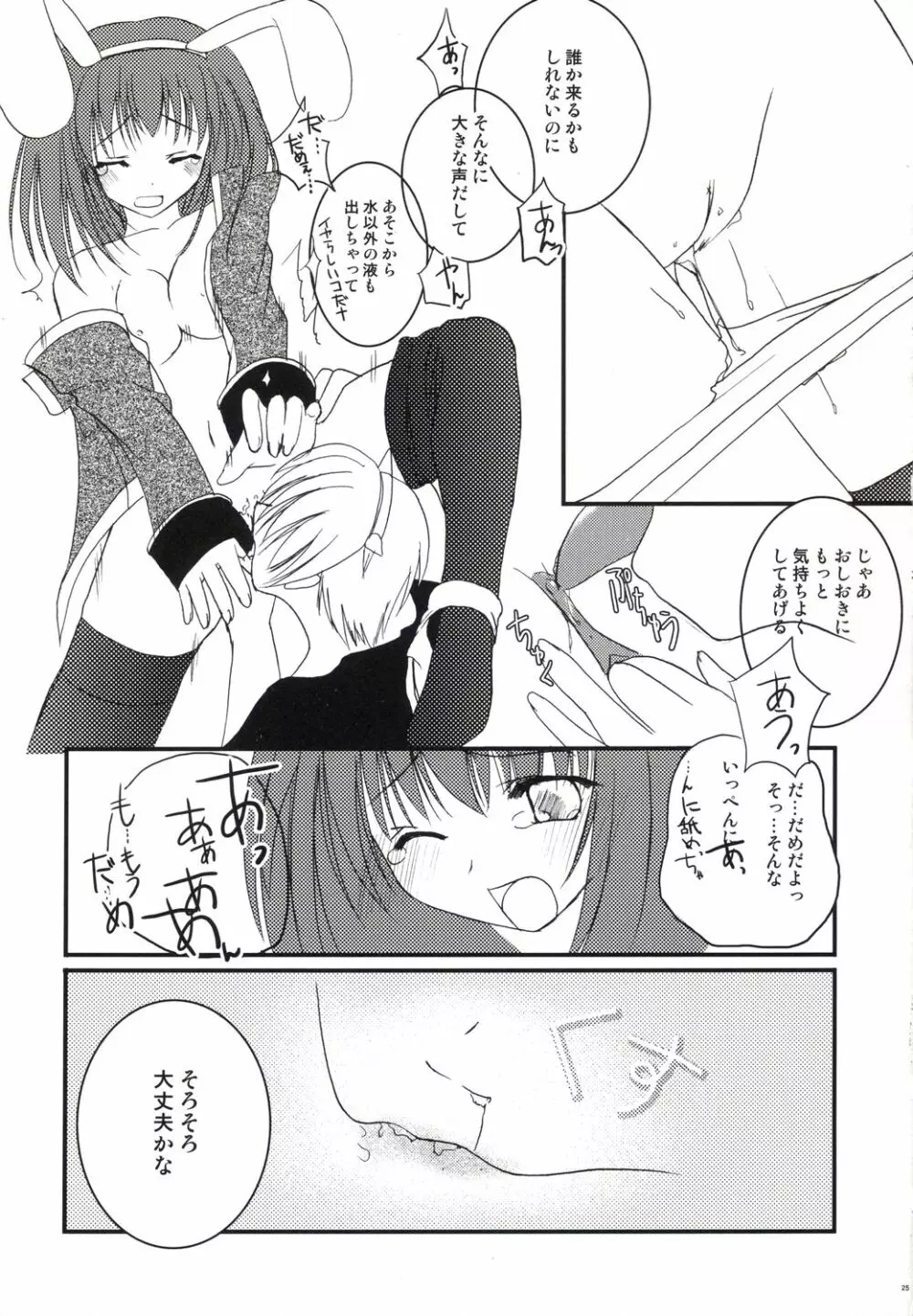 アコたん騎士たんの事情 ～壁する側と壁される側のカンケイ～ Page.25