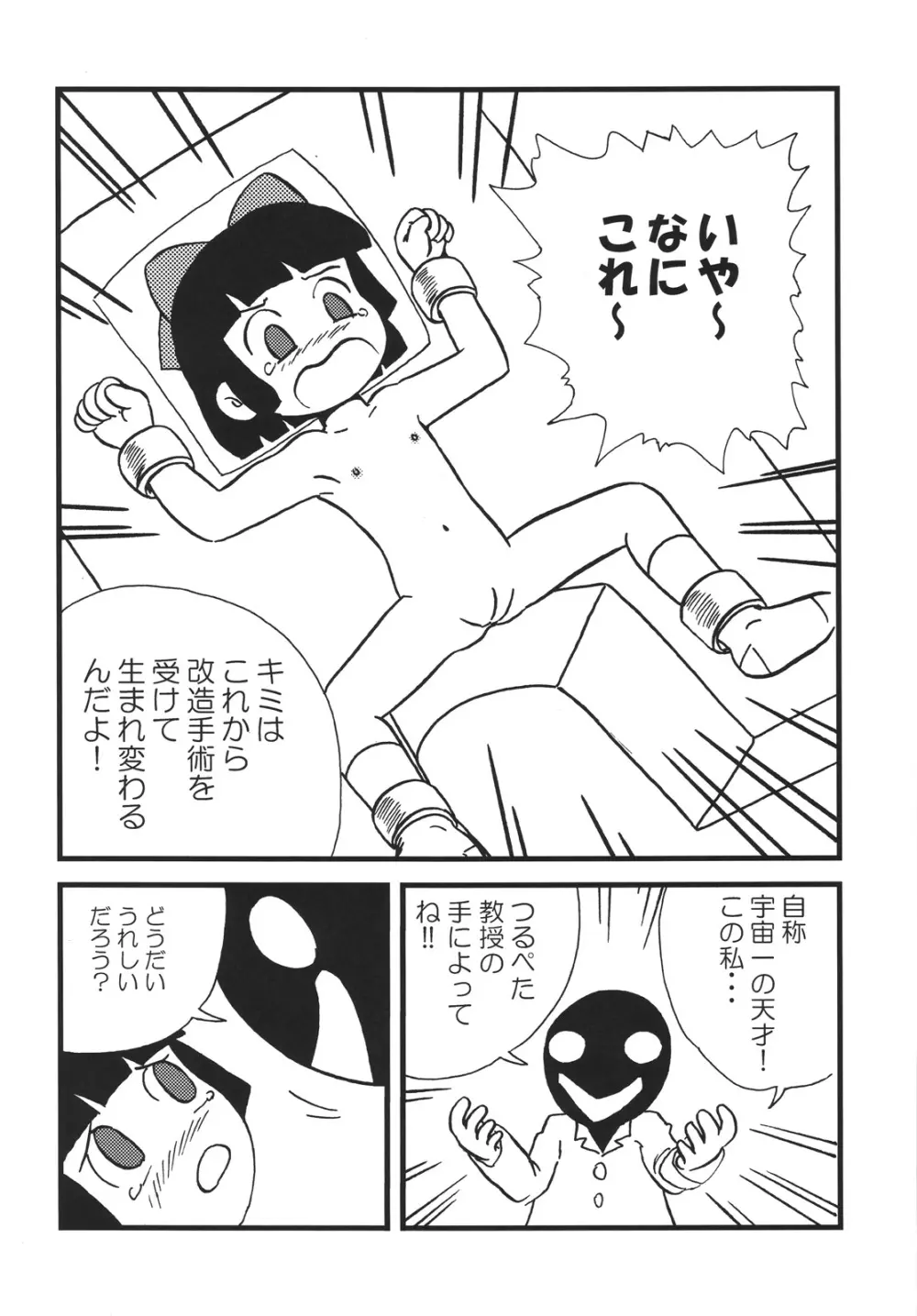 つるぺた研究報告書「つるぺた教団の野望」 Page.11